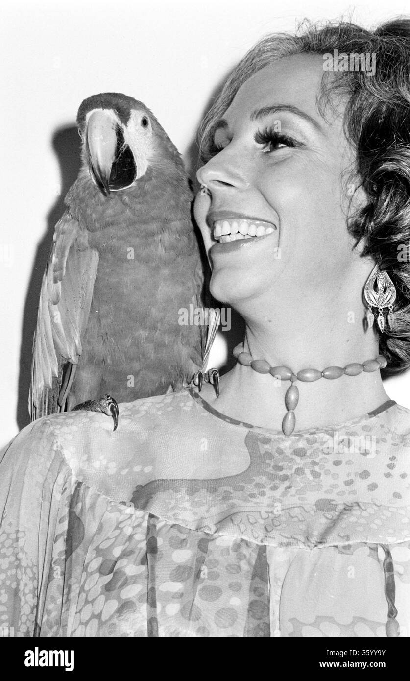 American jazz singer Marian Montgomery auditions Bonnie, a scarlet and gold macaw, at the three-day National Exhibition of Cage Birds at Alexandra Palace, London. Stock Photo