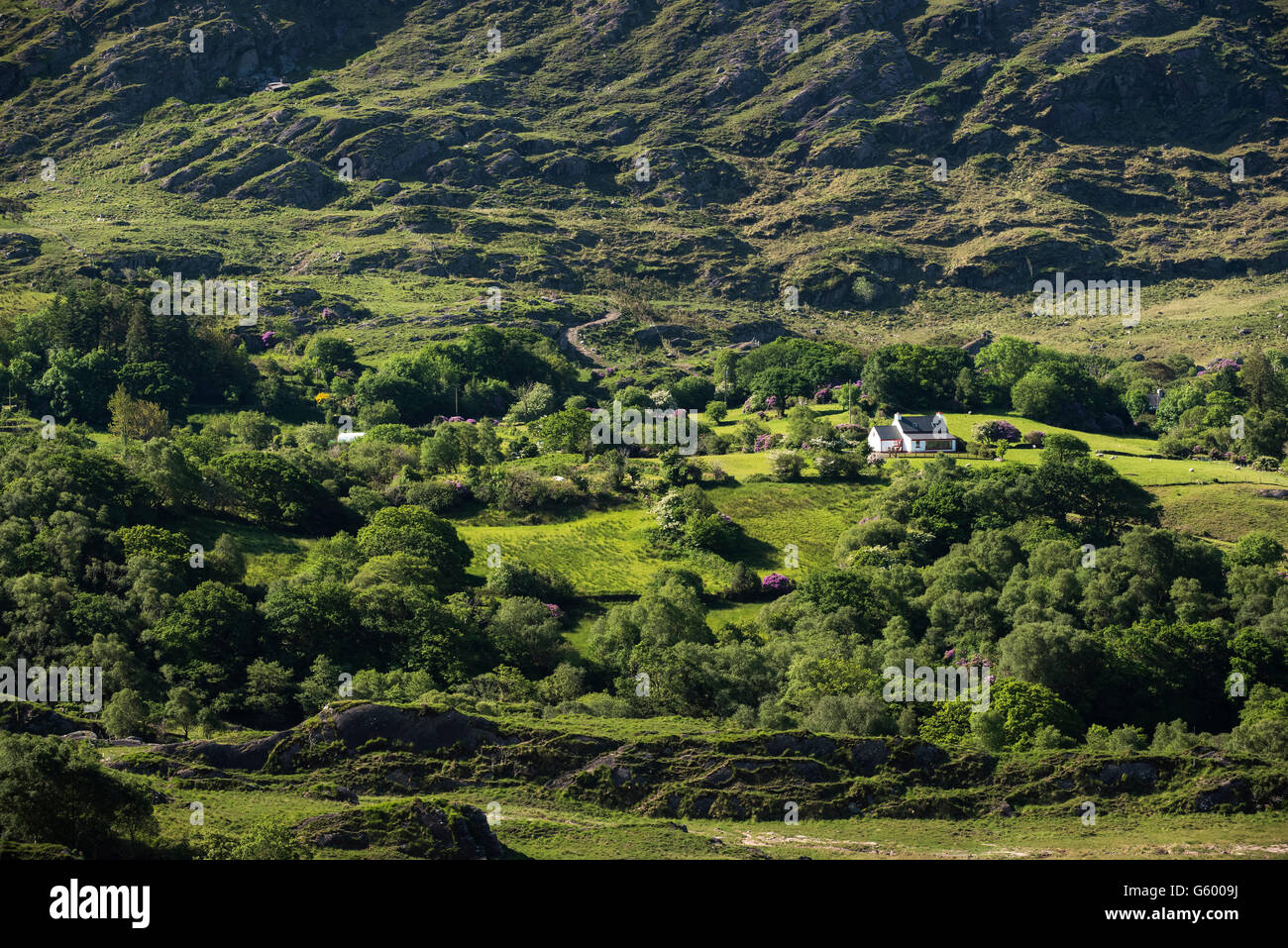 Caha Mountains, Beara Peninsula, , Ireland Stock Photo
