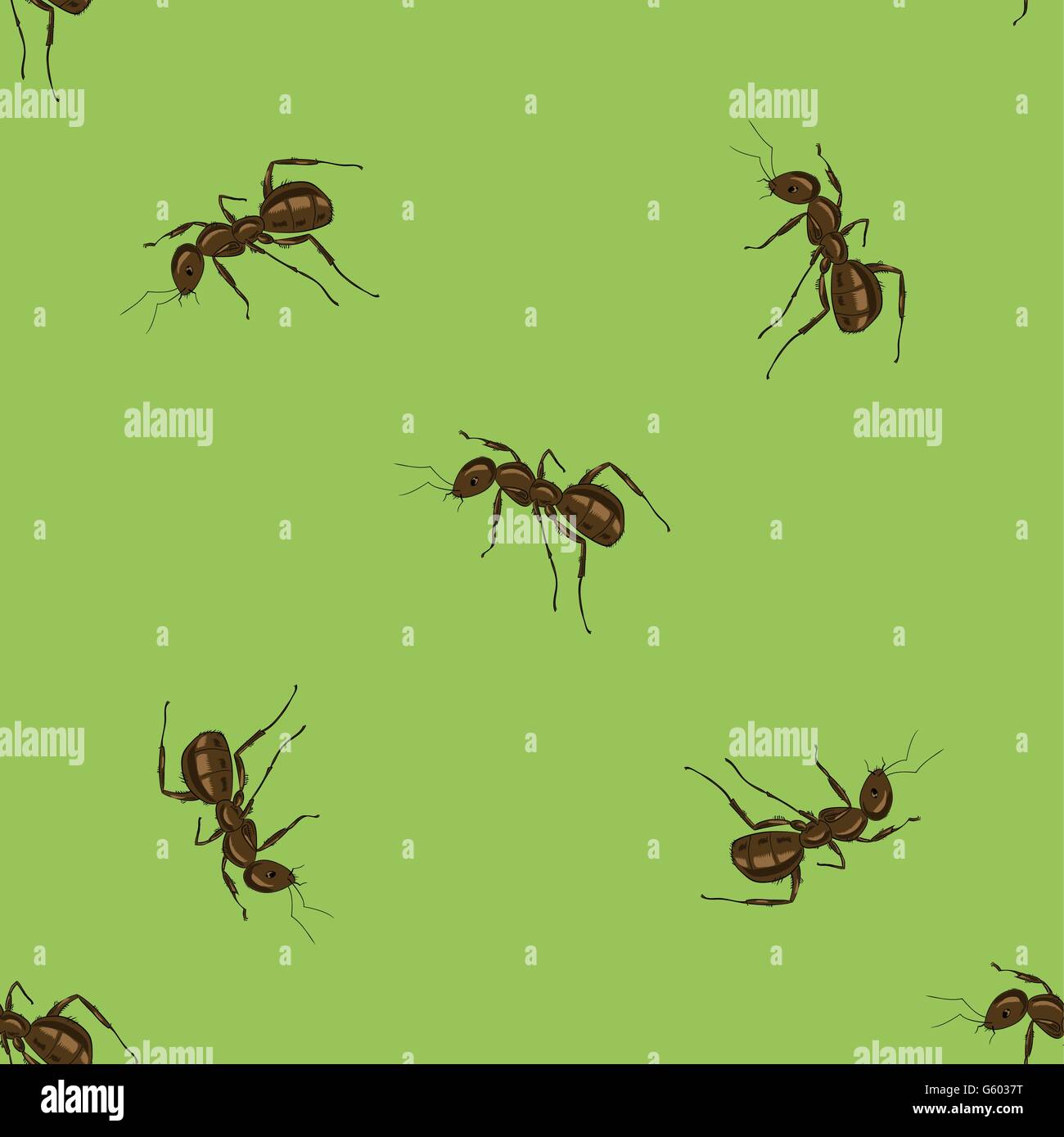 Seamless Animal Pattern. Ant Isolated Stock Vector