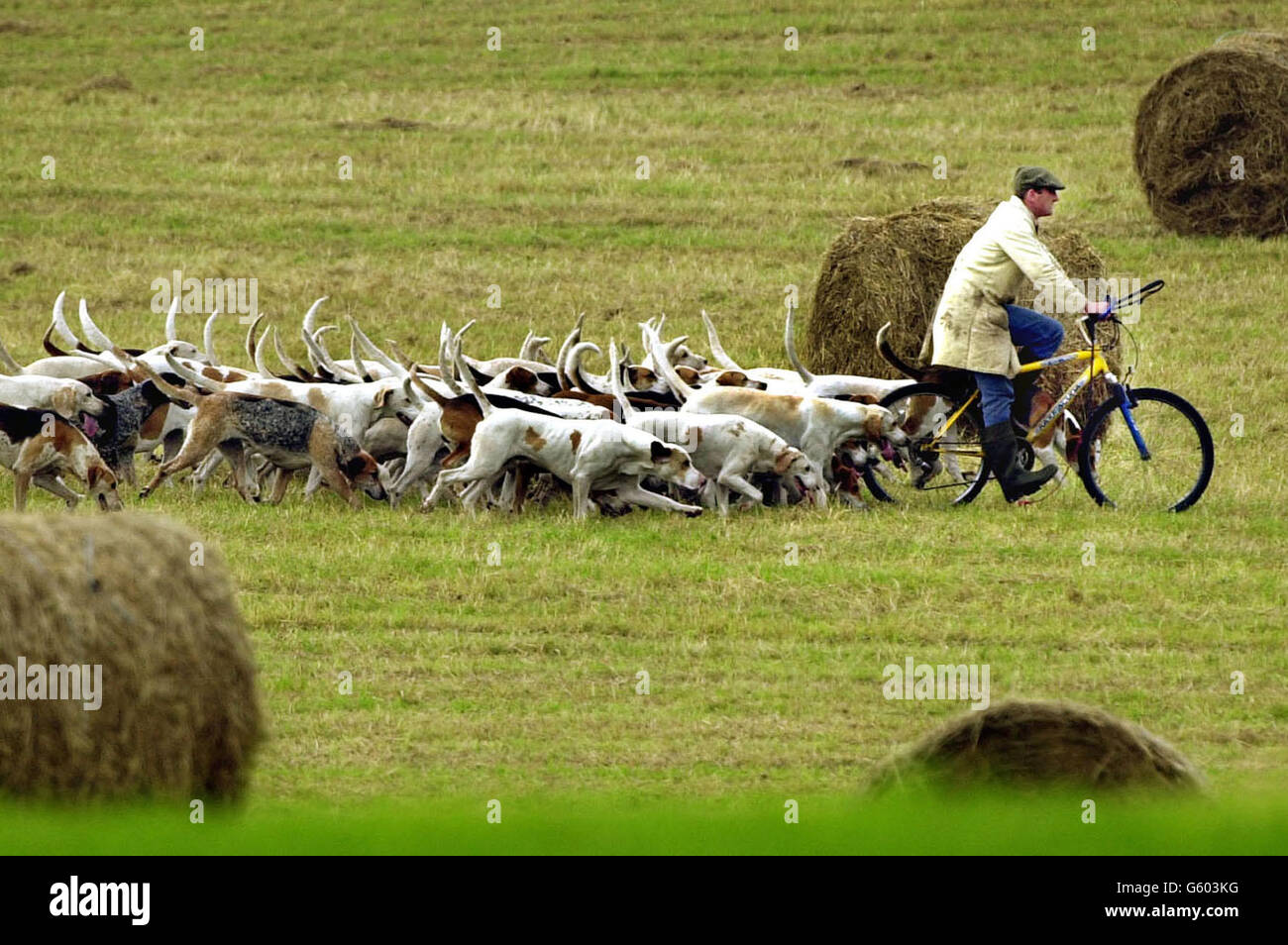 Scotland Hunting Bill Stock Photo Alamy