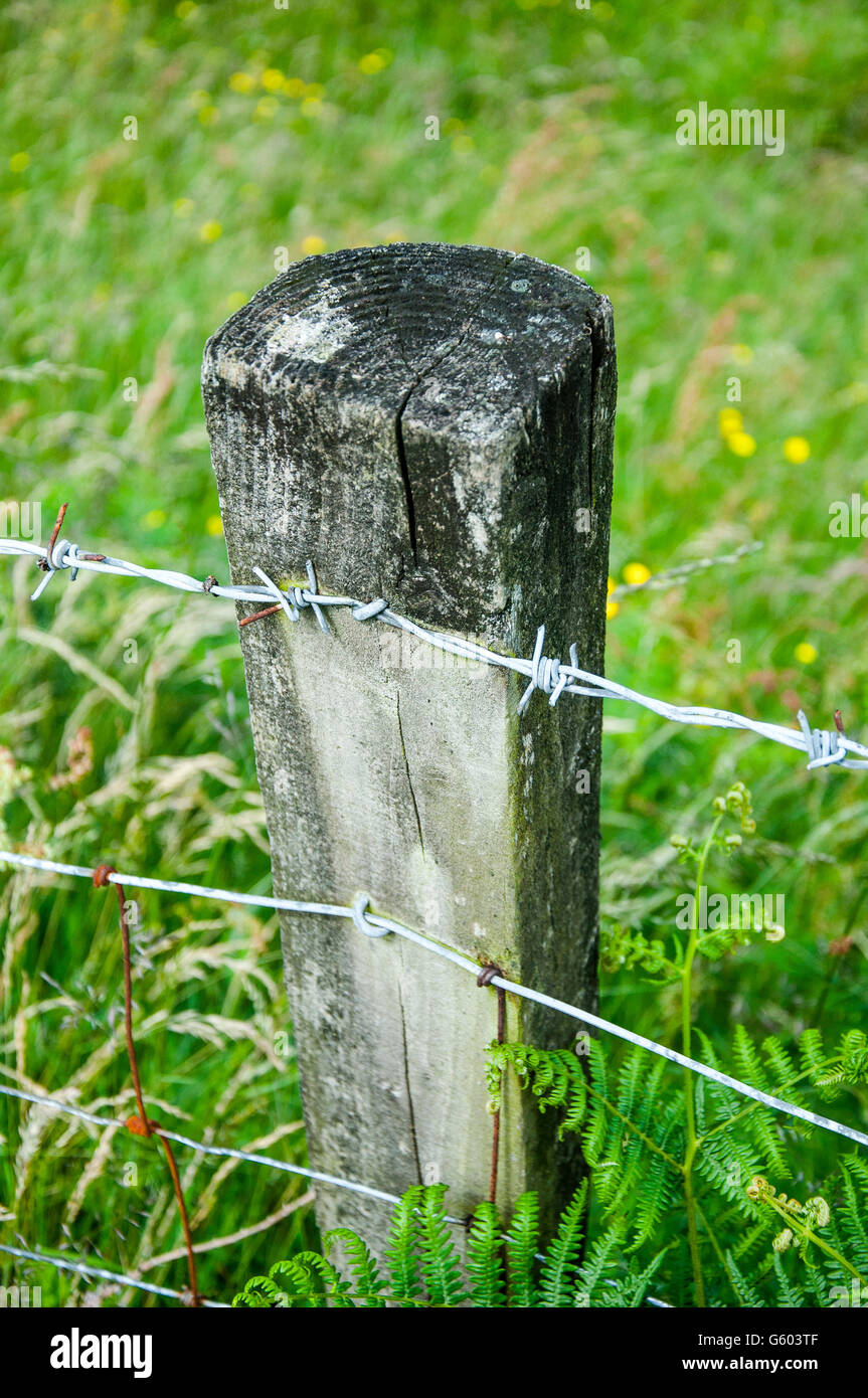 Fence post on field boundary Stock Photo
