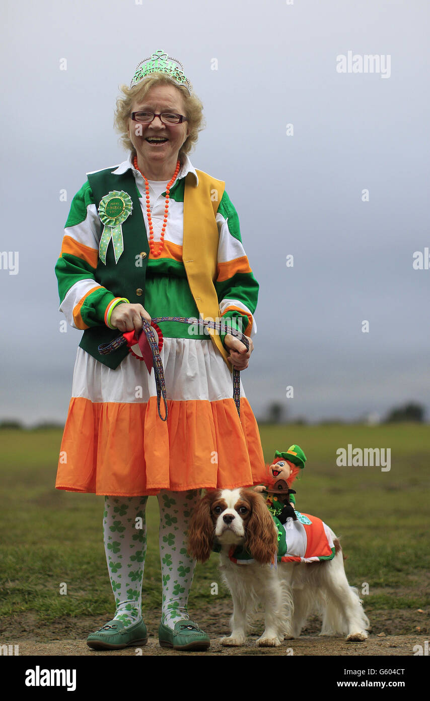 Irish Kennel Club Pet Dog Expo 2013 Stock Photo Alamy