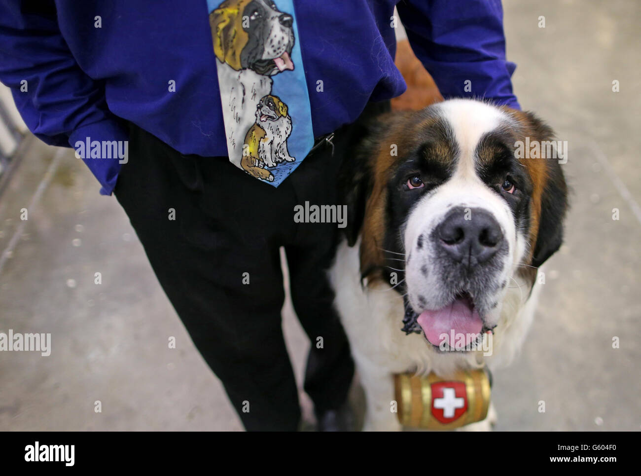 Austin LongDoyle with his St Bernard 'Il Divo Roly' at the National