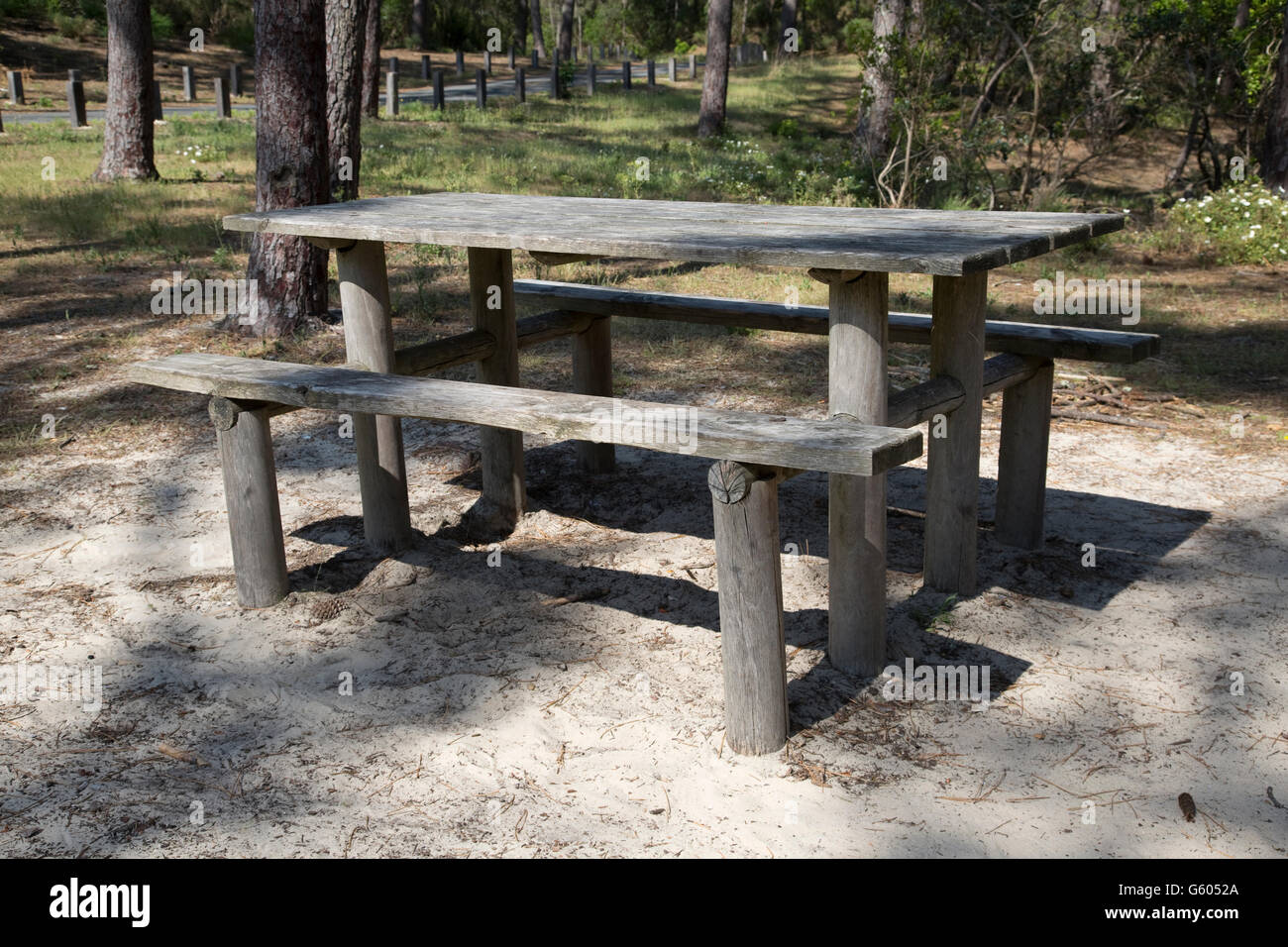 Timber picnic table with no people pine trees Dune of Pyla Southern