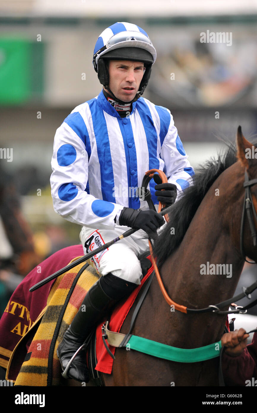 Jockey Wayne Hutchinson on Mr Lando during the Paddy Power Imperial Cup