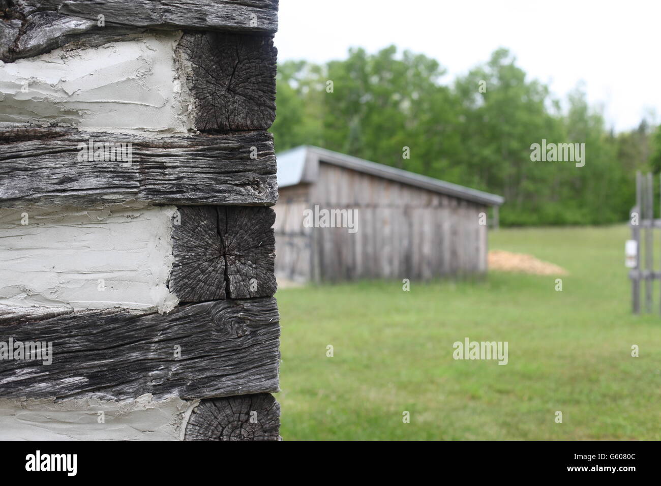 old log cabin with shed Stock Photo