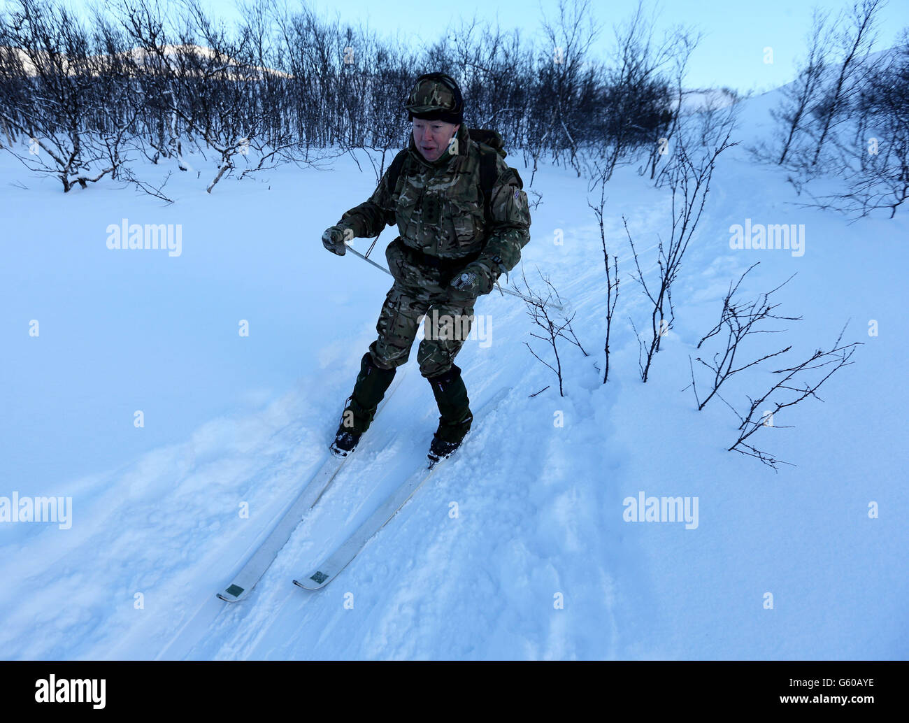 Colonel Rory Bruce of the Royal Marine Reserve and acting commander of the Maritime Reserve on skis, as troops take part in Exercise Hairspring 2013, which focuses on cold weather survival and warfare training for Royal Marines Commando Reservists in the mountains range near to Porsanger Garrison near Lakselv, Norway. Stock Photo