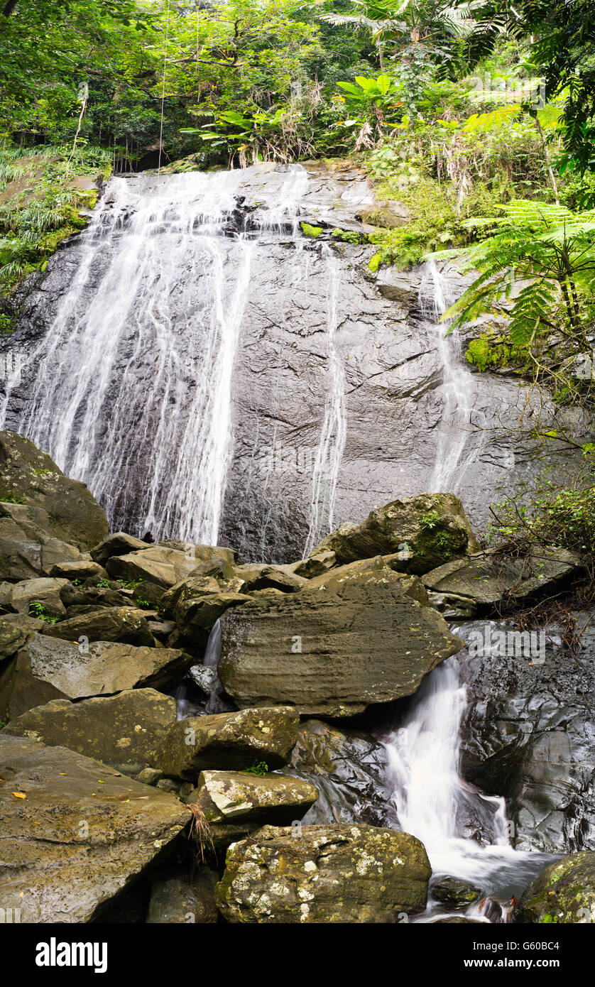 La Coca Falls In El Yunque National Forest Puerto Rico Stock Photo Alamy