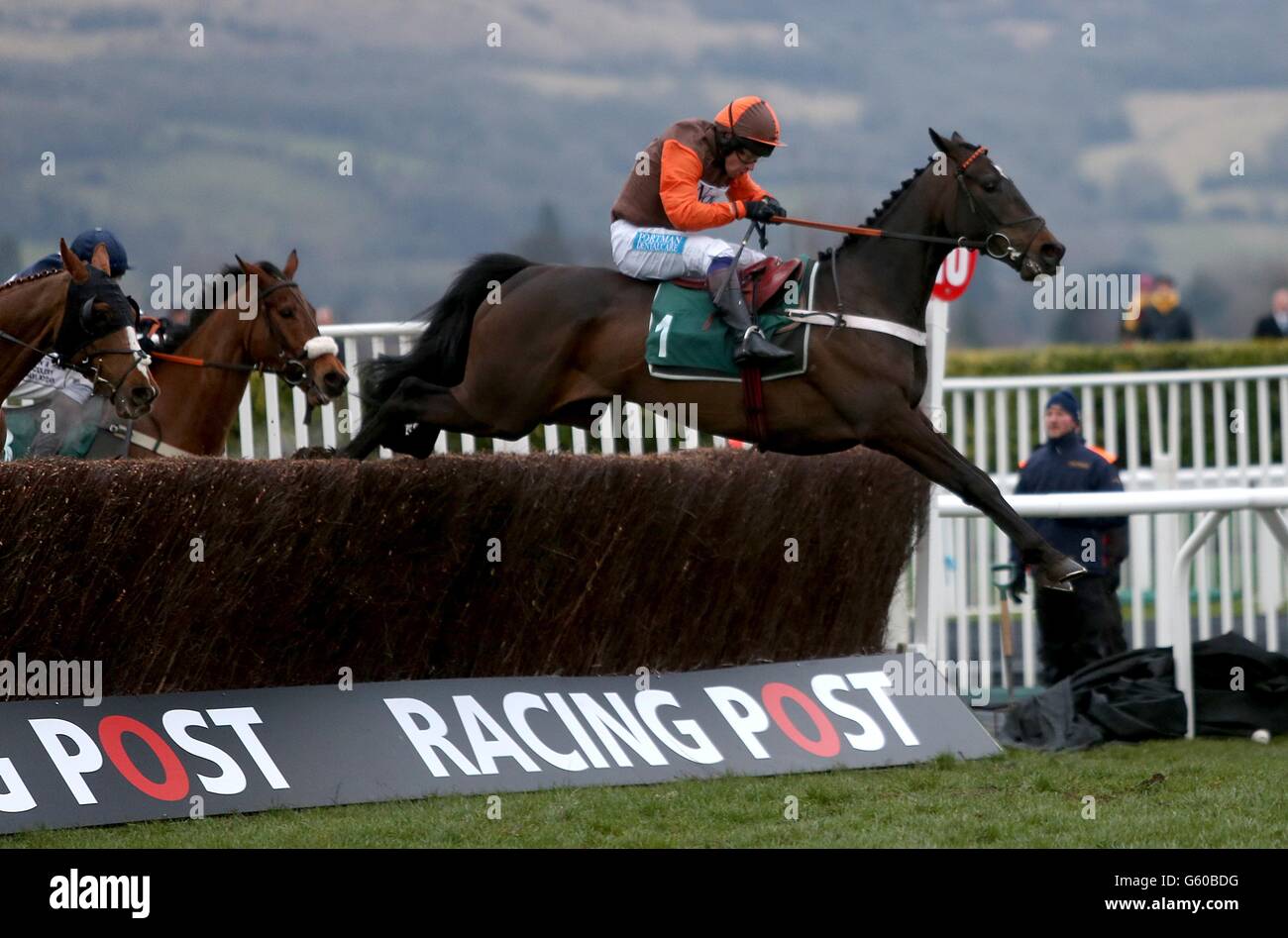 Rajdhani Express ridden by jockey Sam Waley-Cohen on the way to victory in the Rewards4Racing Novices' Handicap Chase during day one of the 2013 Cheltenham Festival at Cheltenham Racecourse, Gloucestershire. Stock Photo