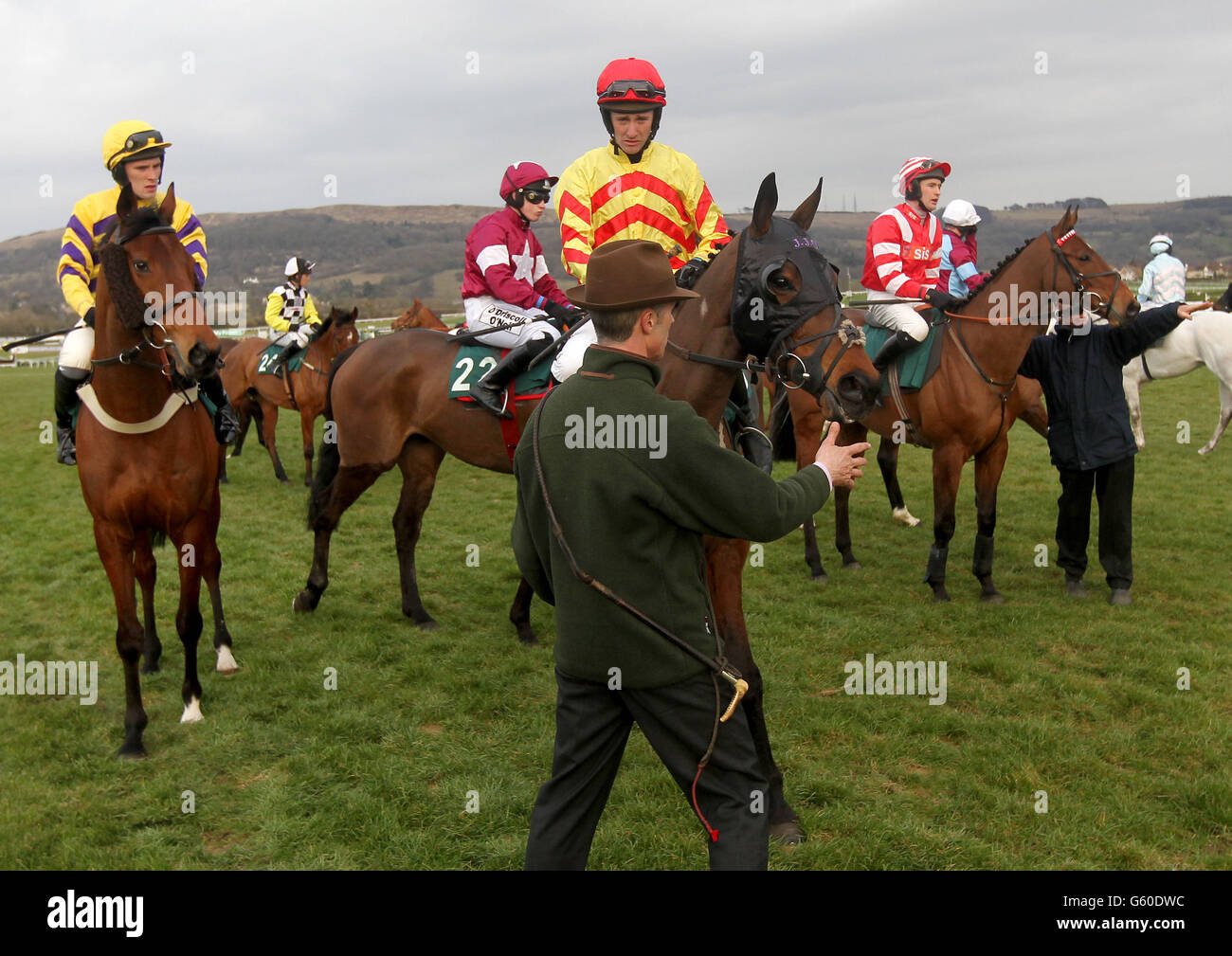 Jockey JT McNamara on Galaxy Rock before the Fulke Walwyn Kim Muir Challenge Cup Handicap Steeple Chase during St Patrick's Thursday at the 2013 Cheltenham Festival at Cheltenham Racecourse, Gloucestershire. Stock Photo
