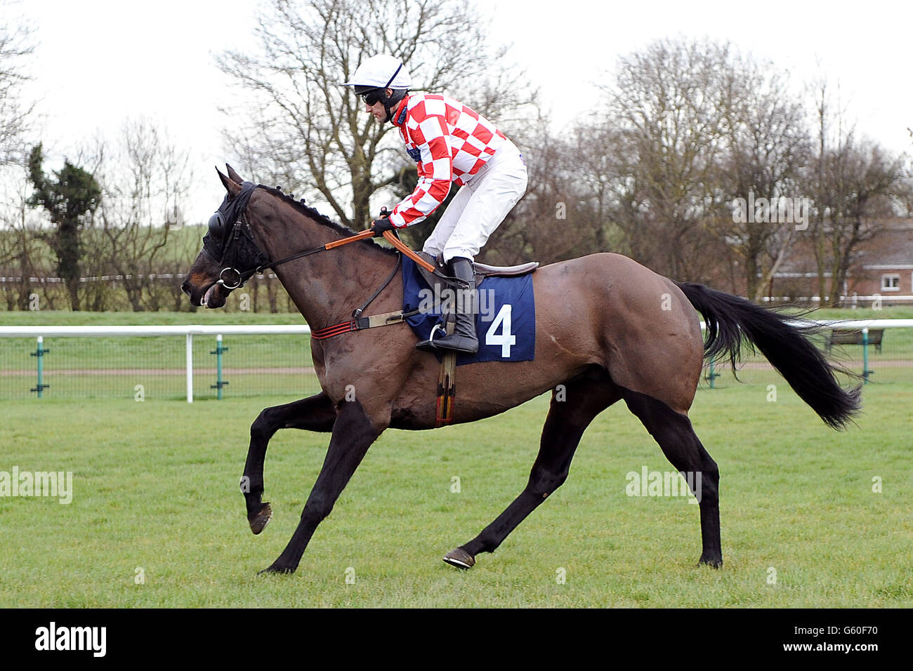 Horse Racing Kind High Resolution Stock Photography And Images Alamy