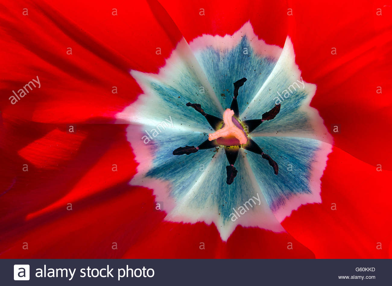 Centripetal Stock Photos & Centripetal Stock Images Alamy