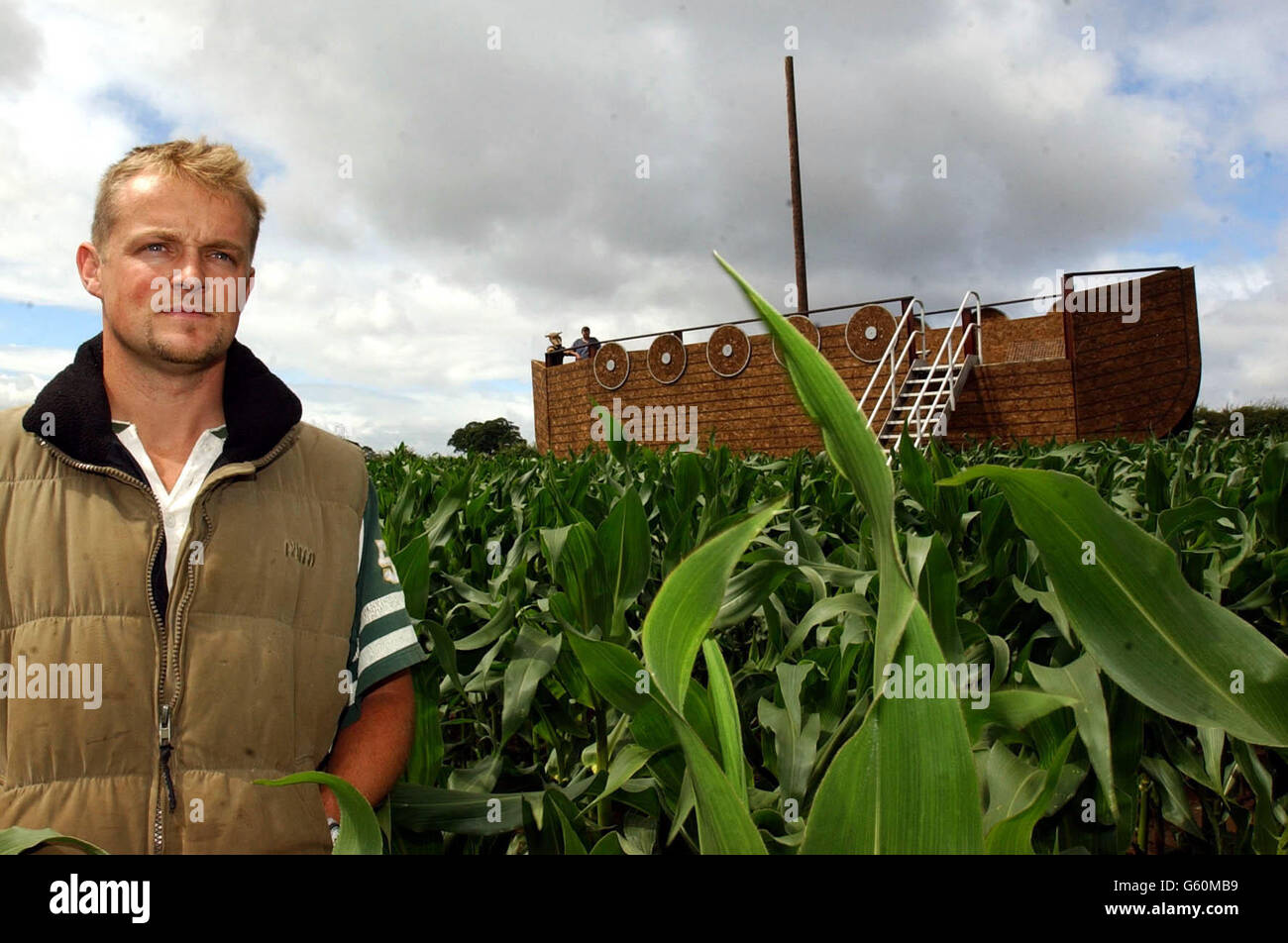 Farmer Tony Pearcy in one of Britain's biggest ever 'maize mazes' - a massive 20 acre Viking long ship design.The maze was planted and cut by Mr Pearcy, 31, on his 450 acre farm at Heslington, near York, and celebrates the city's Nordic heritage. * Mr Pearcy said he decided to grow the huge puzzle following the downturn in traditional farming and says he was inspired by giant crop circles. It is made of a million separate maize plants, which will soon be 10ft tall, with five miles of paths cut through them. The intricate Viking pattern is visible from the air and can also be made out from the Stock Photo