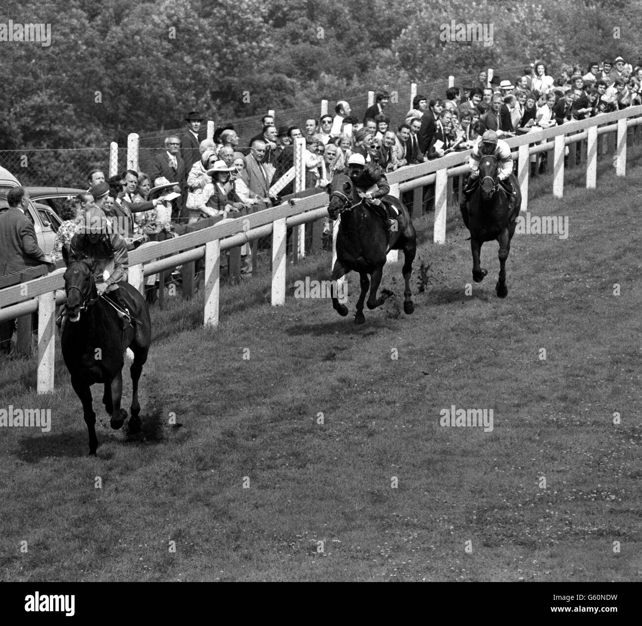 Brigadier Gerard (left) ridden by Joe Mercer easily winning the Sussex Stakes here today from Faraway Son (USA) (second) ridden by Y Saint Martin. Third was Joshua, ridden by G Lewis. Stock Photo