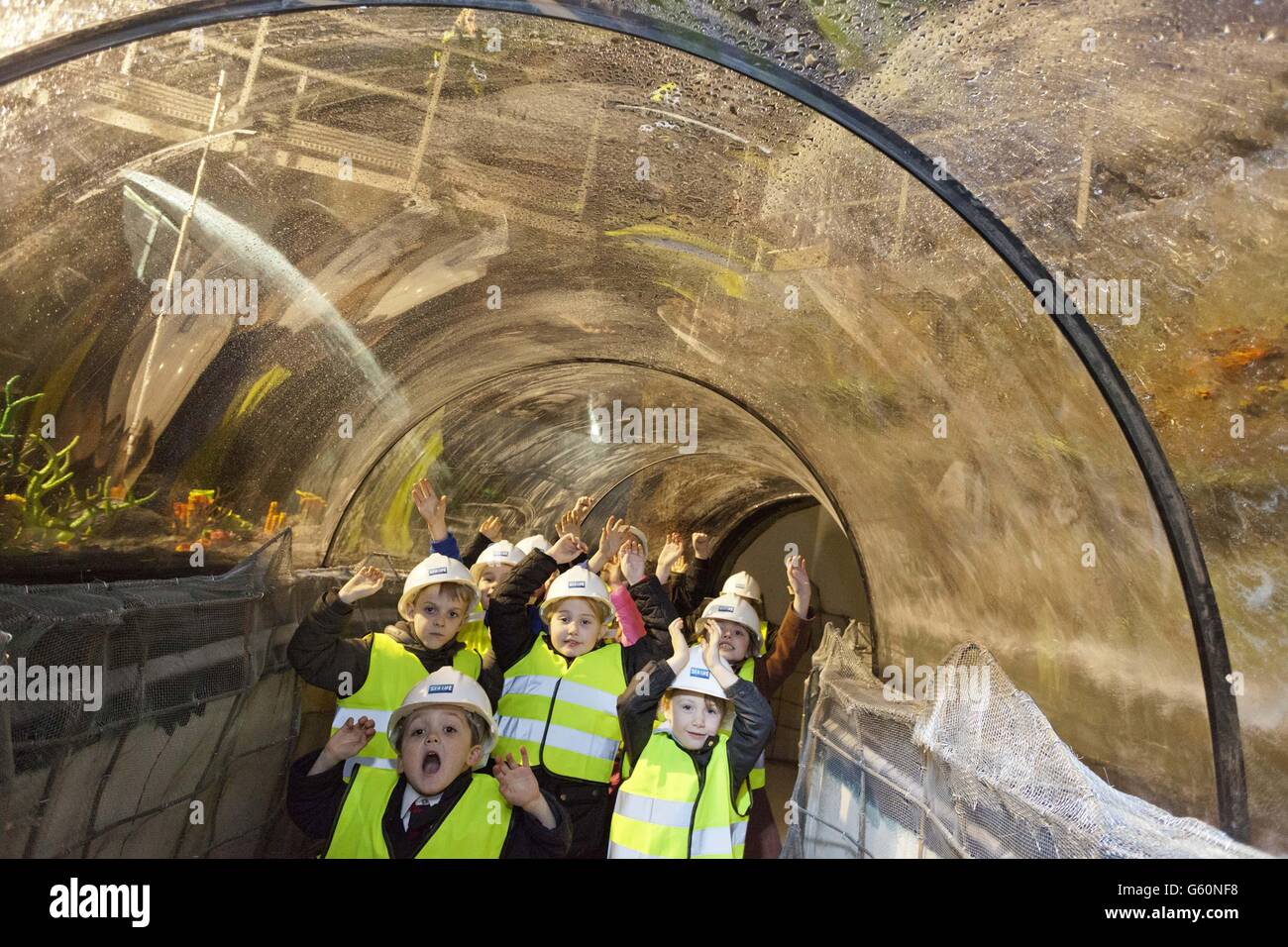 Manchester Aquarium tanks Stock Photo Alamy