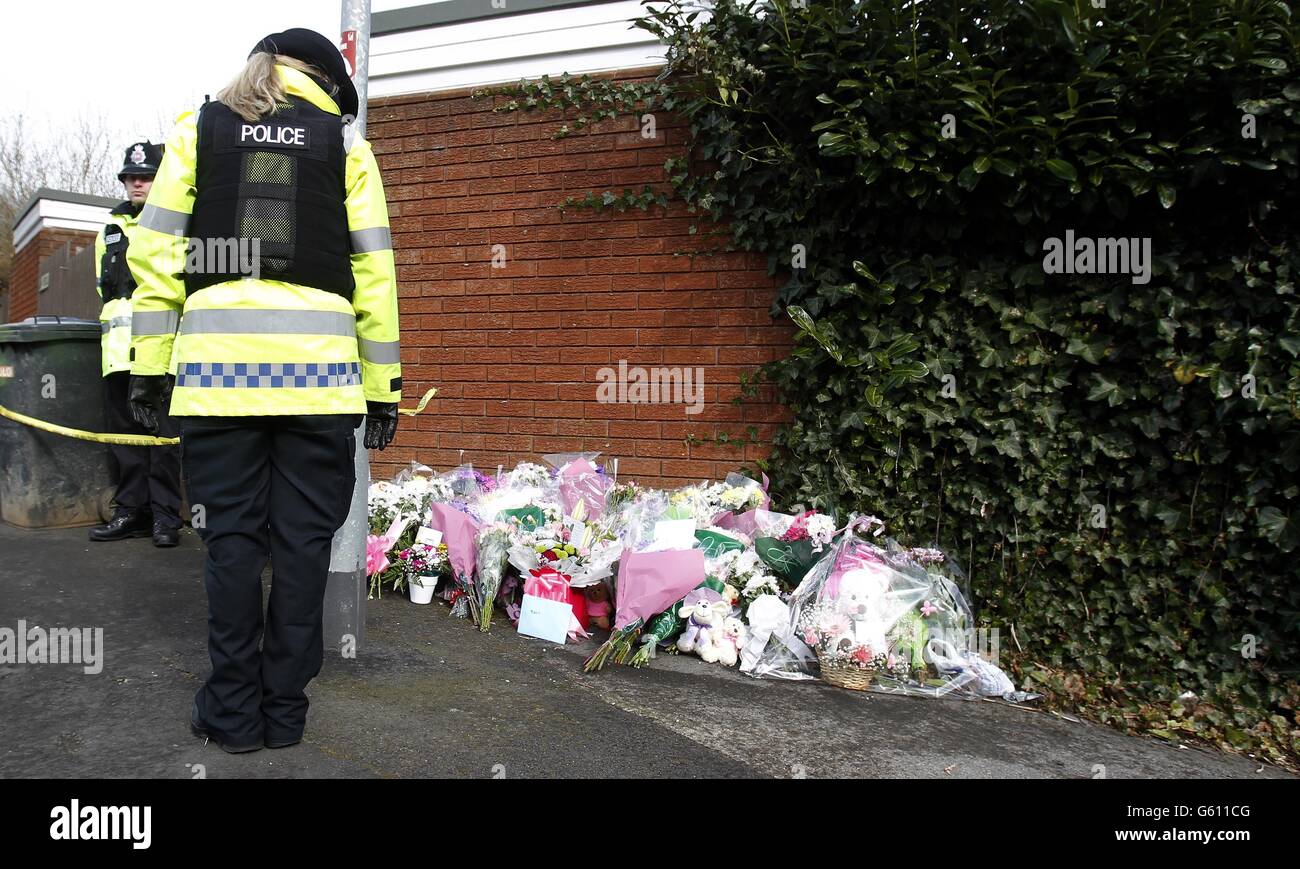 Dog attack death Stock Photo Alamy