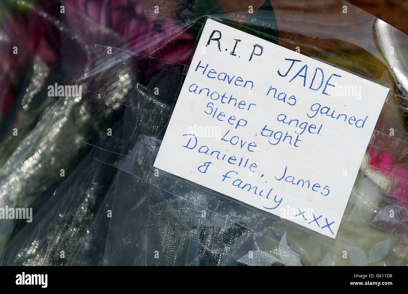 Dog attack death Stock Photo Alamy