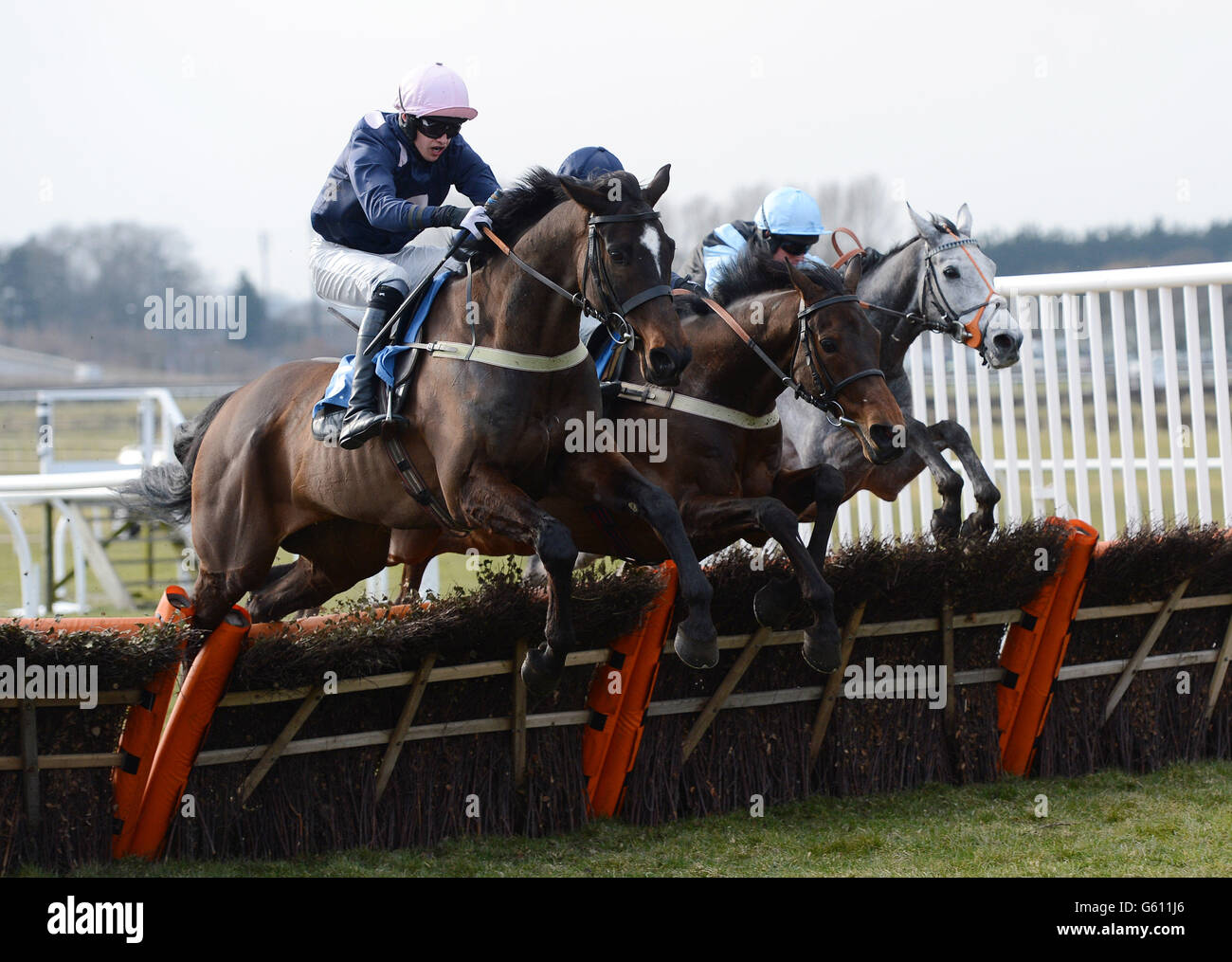 Noel Fehily ridden by Turbo Du Ranch (right) jump up to join Jonathan England and Green Wizard (left) over the final hurdle as they win the Watch Racing UK Handicap Hurdle Race at Wetherby Racecourse, West Yorkshire. Stock Photo