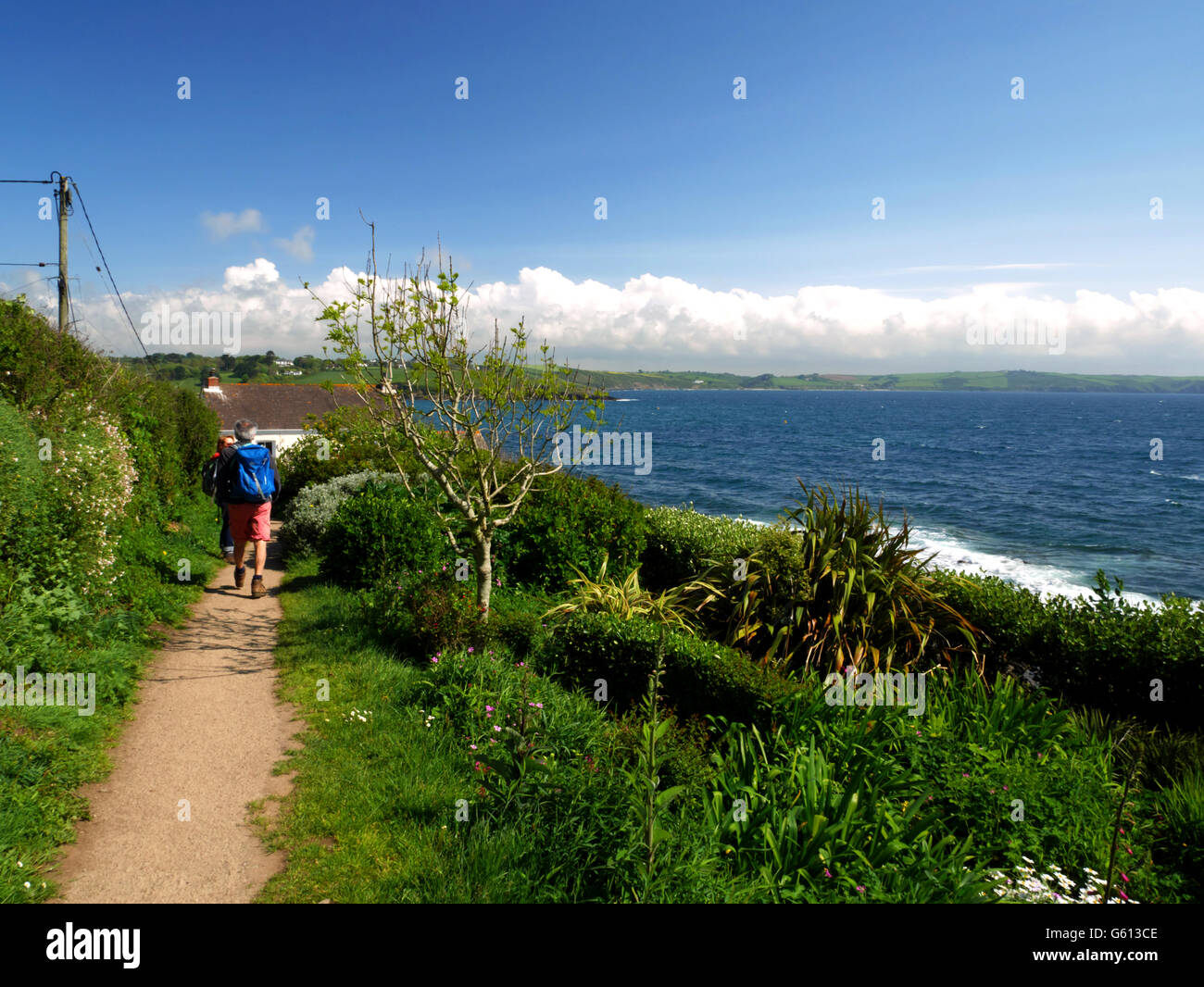 Two walkers walking the cliff path at Portscatho, Cornwall. Stock Photo