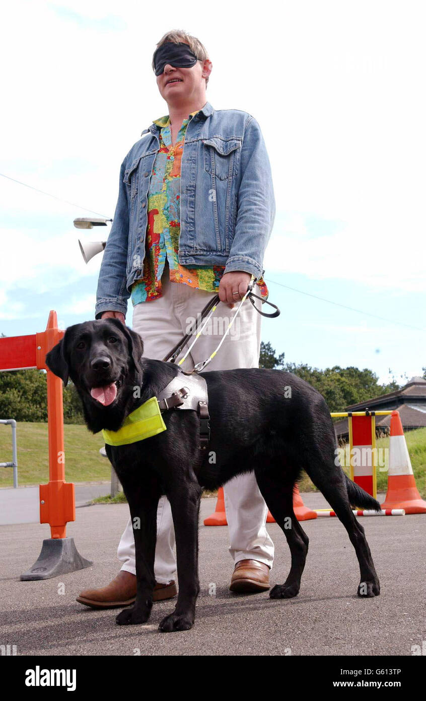 Actor Martin Clunes is led around an obstacle course by Buster the guide dog, a labrador-cross retriever, aged 18 months, at The Guide Dogs for the Blind Association training centre in Woodford, Essex. *Martin, the voice of the television cartoon character dog 'Merlin', made the visit to the centre to join a real-life guide dog named Merlin, who is also being trained at the centre. Stock Photo