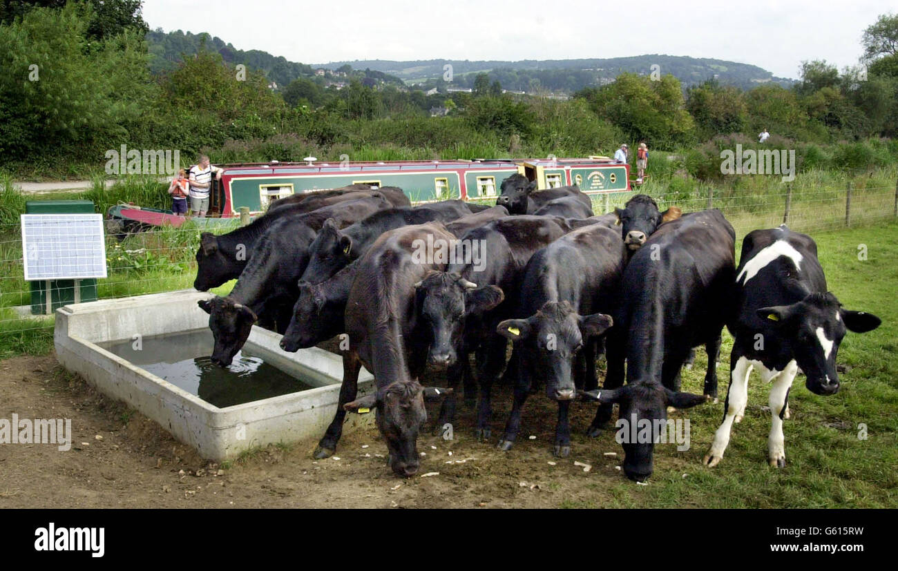 Solar Powered Water Trough Stock Photo Alamy