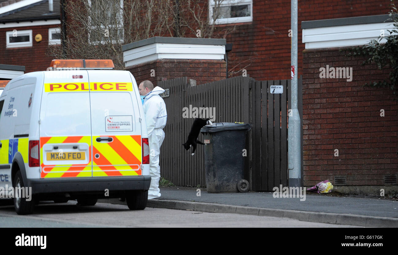 Dog attack death Stock Photo Alamy