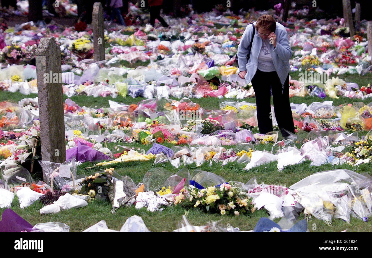 Holly and Jessica flowers Stock Photo Alamy