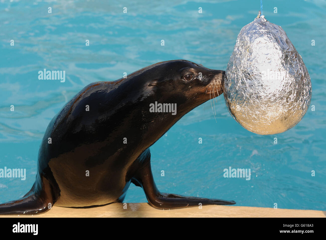 Callum easter hi-res stock photography and images - Alamy