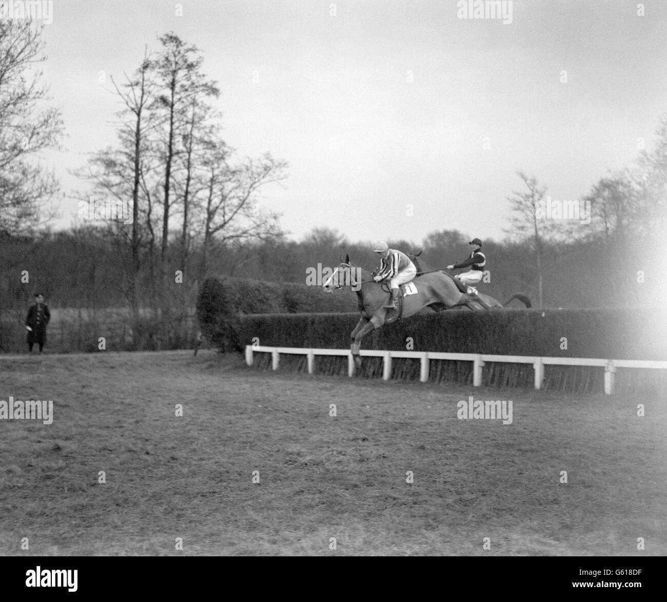 Horse Racing - Buckhurst Handicap Steeplechase - Lingfield Park Racecourse Stock Photo