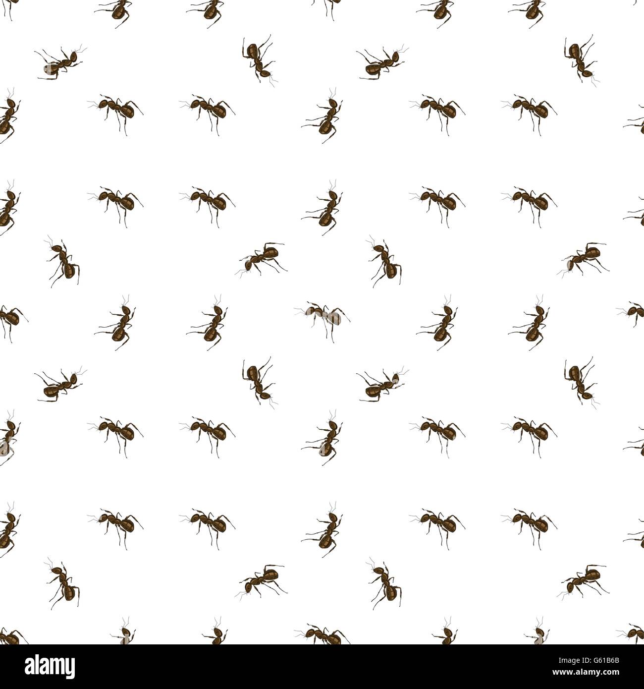 Ant Isolated on White Background. Stock Vector