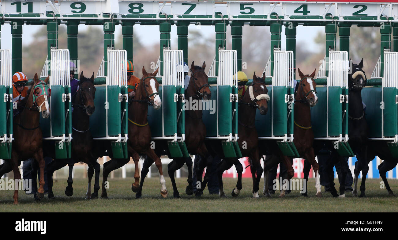 Horse Racing - Leopardstown Racecourse Stock Photo
