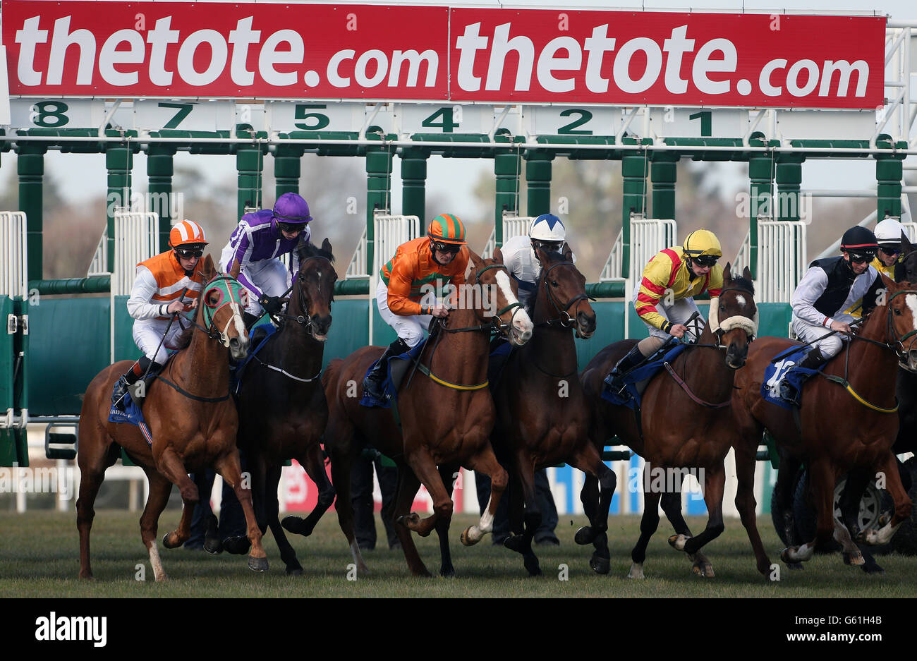 Horses at the starting gate during The Leopardstown Club Members Handicap at Leopardstown Racecourse, Dublin. Stock Photo