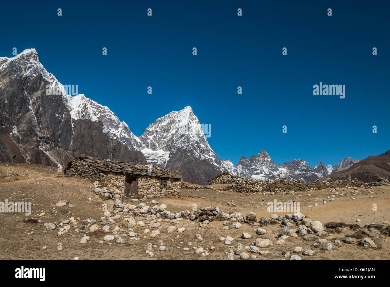 Flowers in the himalayas mountains hi-res stock photography and images ...