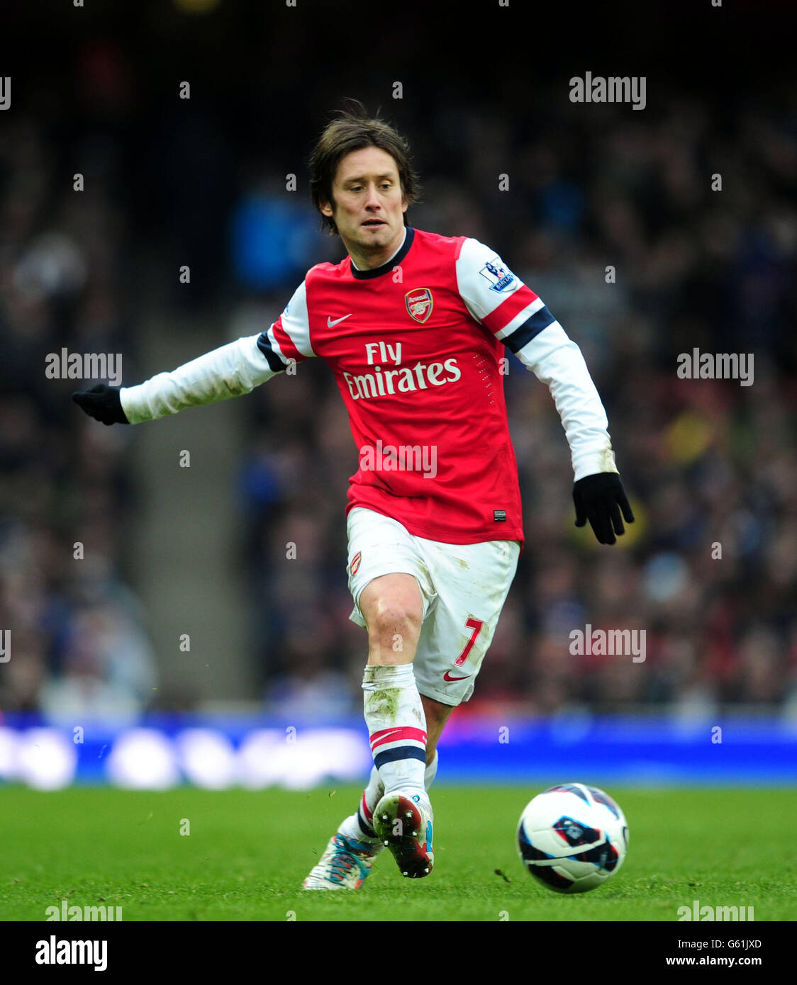 Arsenal's Tomas Rosicky during the Barclays Premier League match at the  Emirates Stadium, London Stock Photo - Alamy