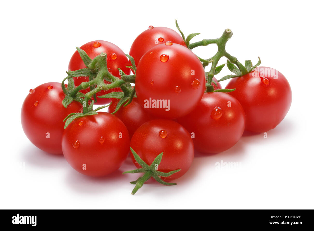Ripe heirloom Cherry Tomatoes on vine (Solanum lycopersicum). Clipping paths for both tomatoes and shadow,infinite depth of fiel Stock Photo