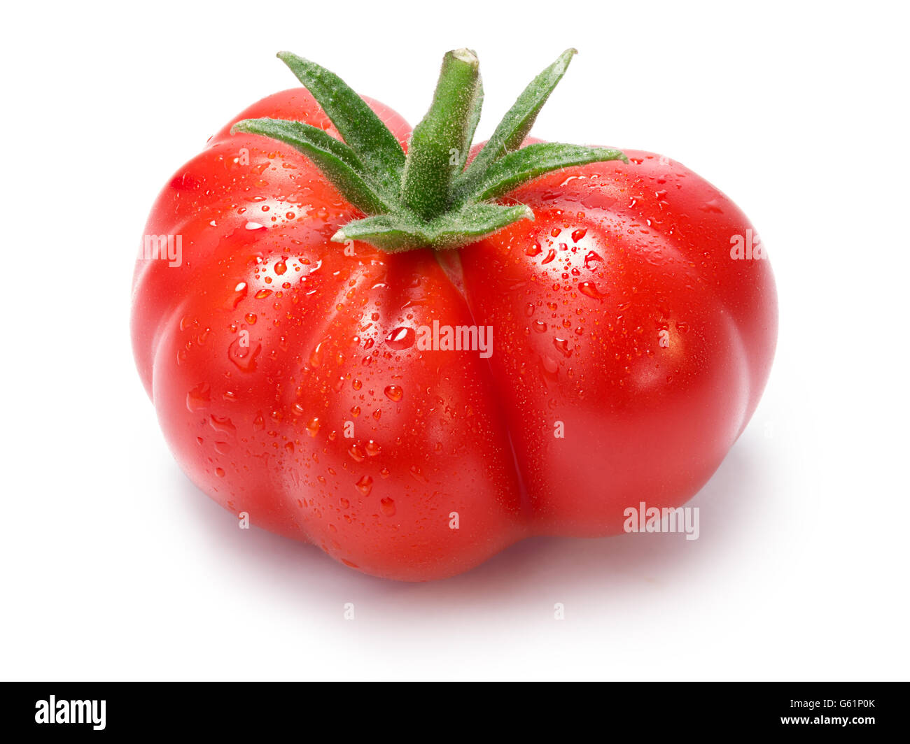 Ripe heirloom Tomatoes on vine, Togorific variety (Solanum lycopersicum), covered with droplets. Clipping paths for both tomatoe Stock Photo