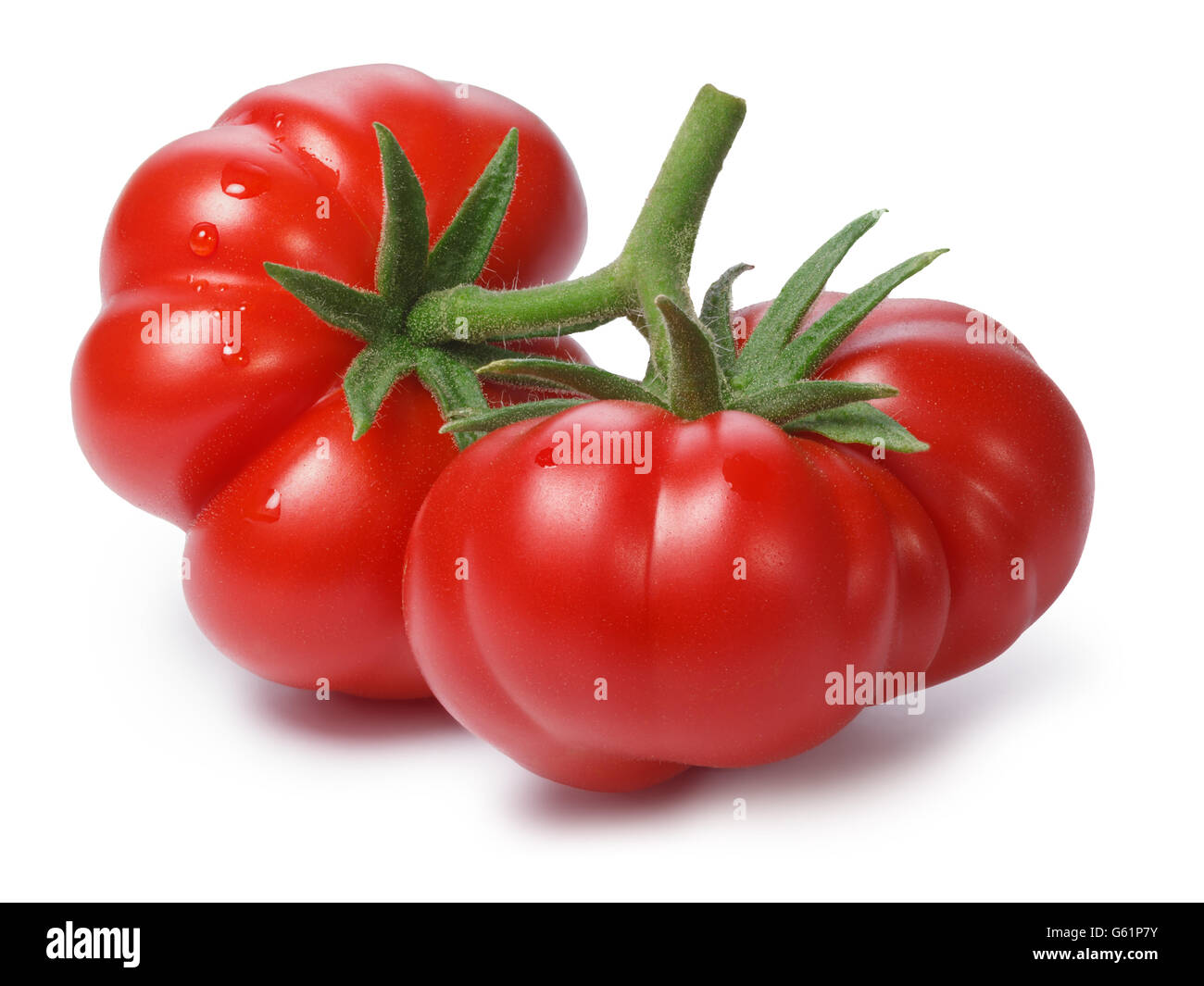 Ripe heirloom Tomatoes on vine, Togorific variety (Solanum lycopersicum). Clipping paths for both tomatoes and shadow,infinite d Stock Photo