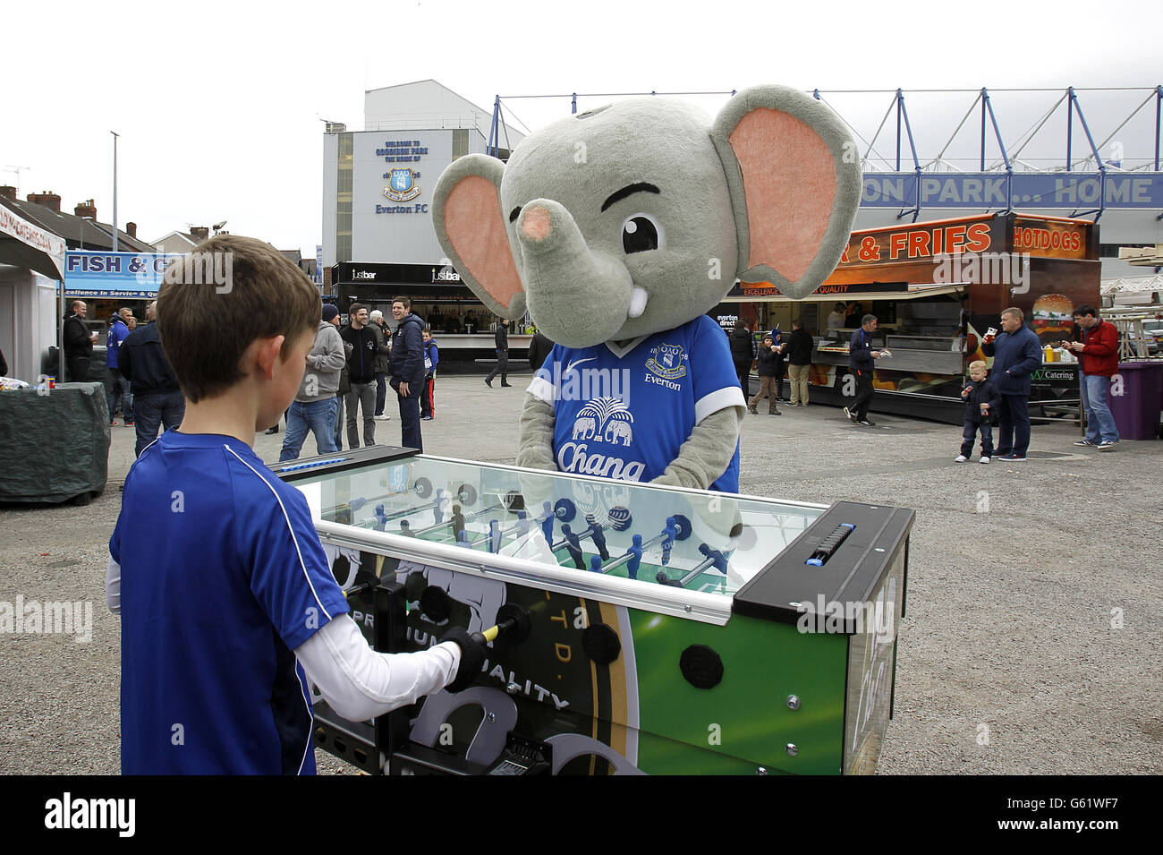 Queens park rangers f.c. lwn everton f.c.