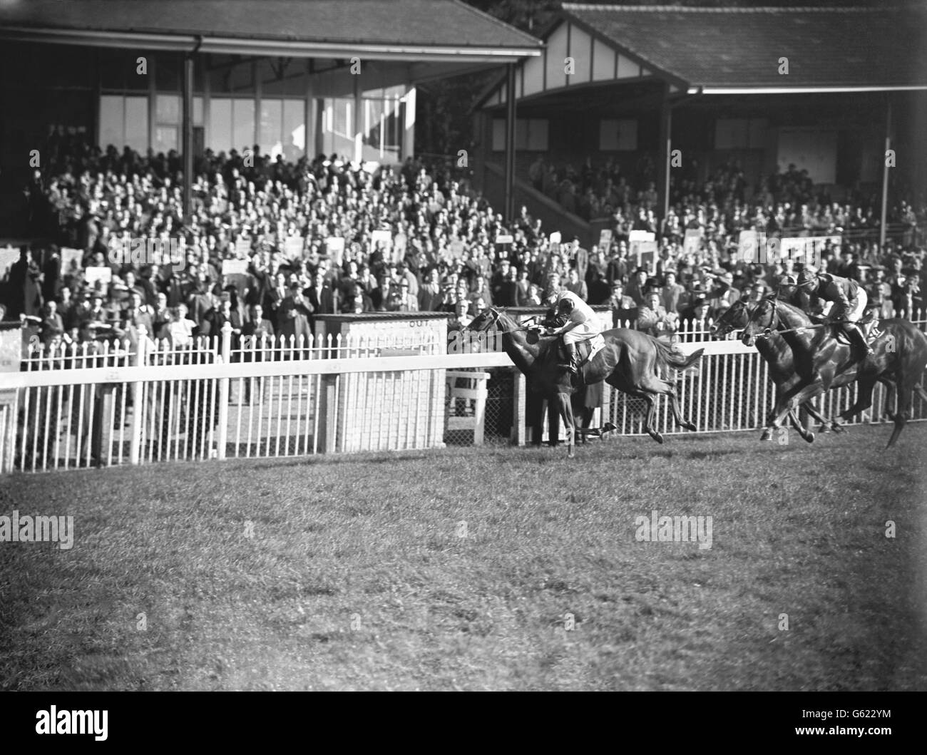 Horse Racing - Edenbridge Plate - Lingfield Park Racecourse. 'Gibralter III' with E. Smith up, winning the Edenbridge Plate. Stock Photo