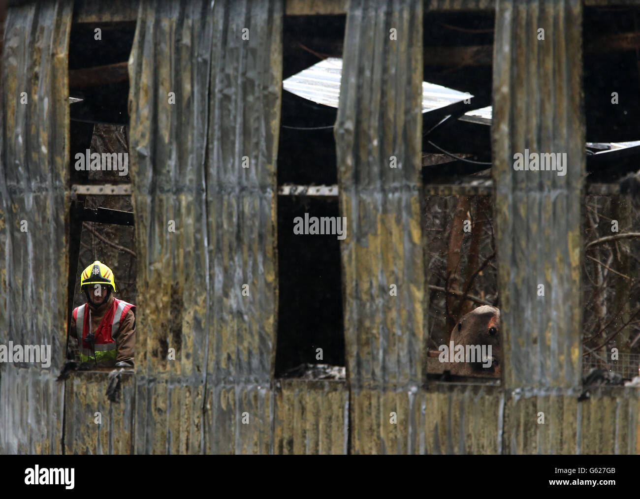 Fire five sisters zoo hi-res stock photography and images - Alamy
