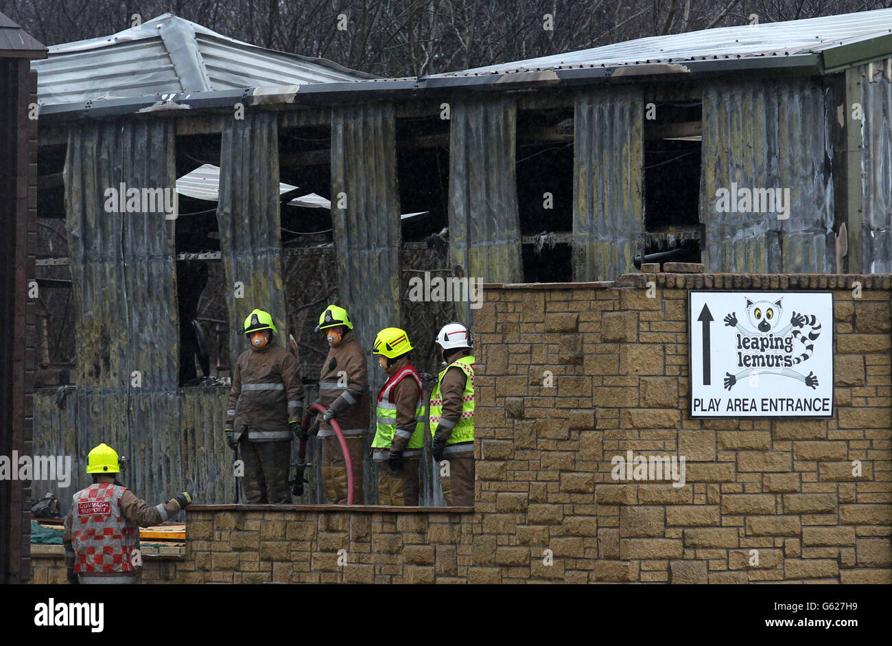 Five sisters zoo at polbeth hi-res stock photography and images - Alamy