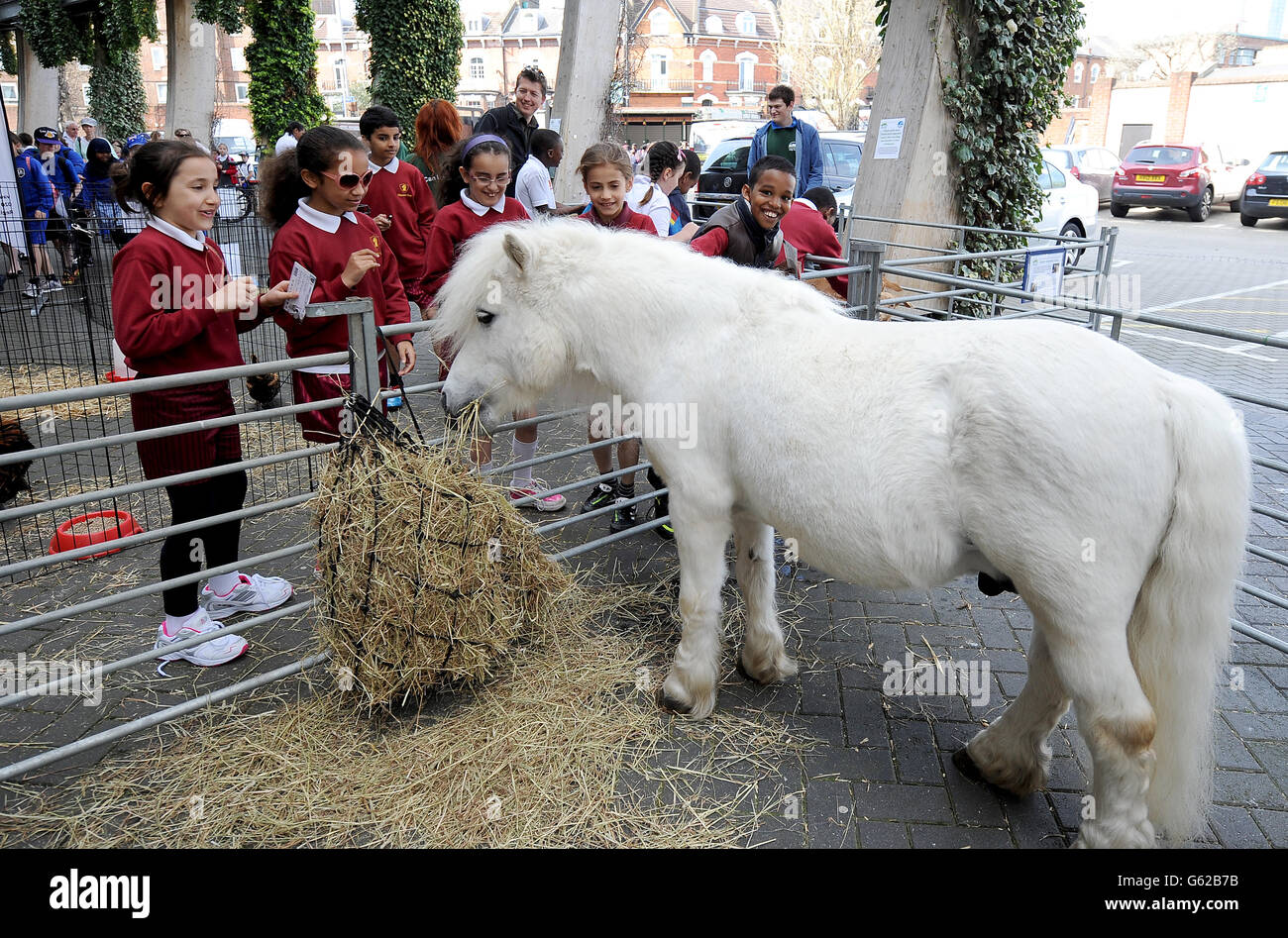 Cricket LV= County Championship Division One Day Two Surrey v
