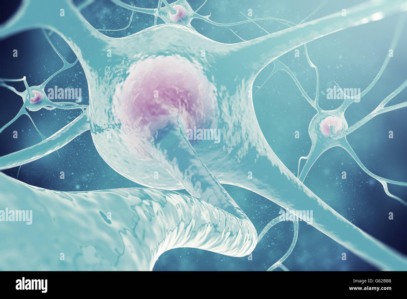 Neurons of the nervous system. 3d illustration nerve cells Stock Photo ...
