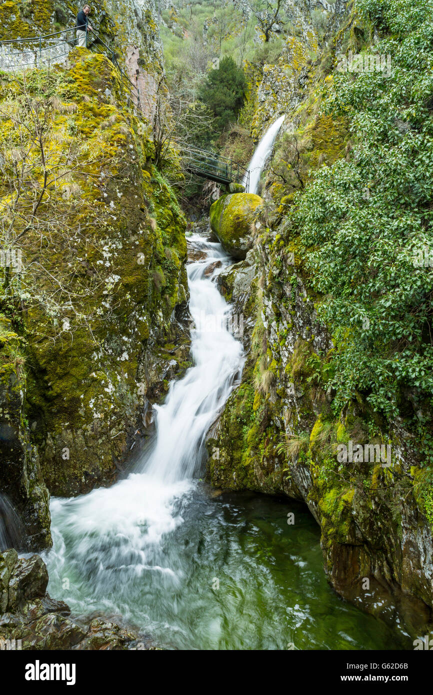The Poço do Inferno waterfall set in boreal forest in the Serra da Estrela mountains, Portugal, Europe Stock Photo