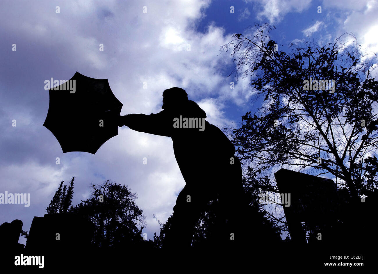 Strong wind umbrella trees hi-res stock photography and images - Alamy