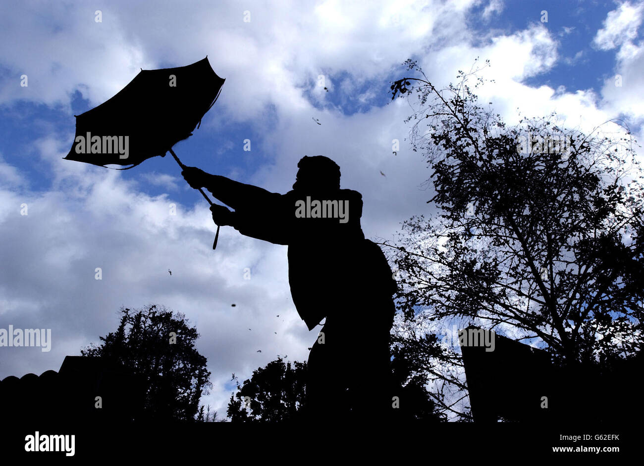Strong wind umbrella trees hi-res stock photography and images - Alamy