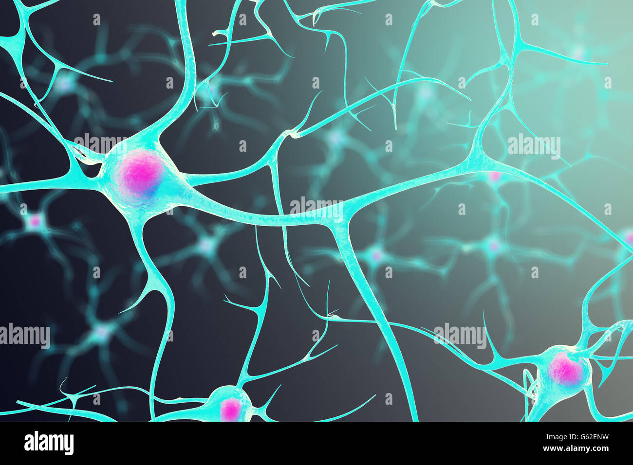Neurons in the brain with a nucleus inside on black background. 3d illustration Stock Photo