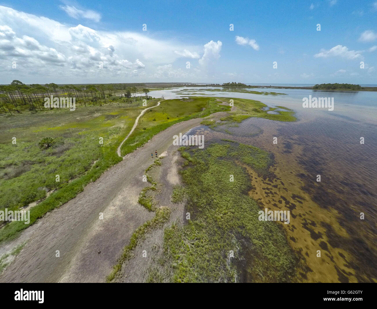 Big bend wildlife management area hires stock photography and images