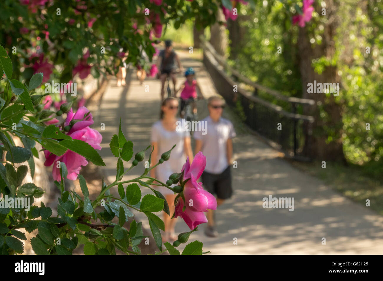 People biking and walking river walk, downtown Durango Colorado Stock Photo
