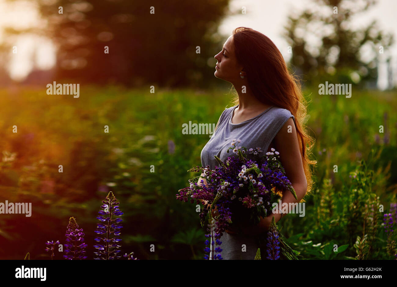 Woman holding a bouquet of blue lupine flowers Stock Photo
